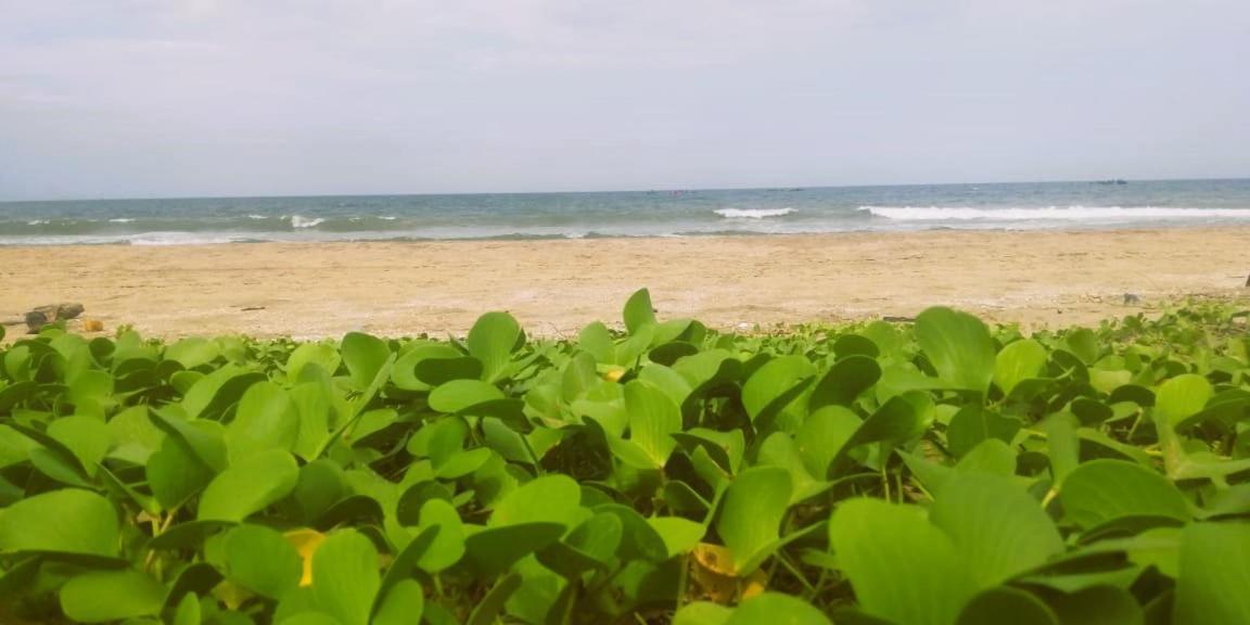 Chan Beach Resort Bahur Eksteriør bilde