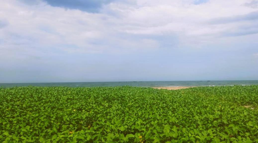 Chan Beach Resort Bahur Eksteriør bilde